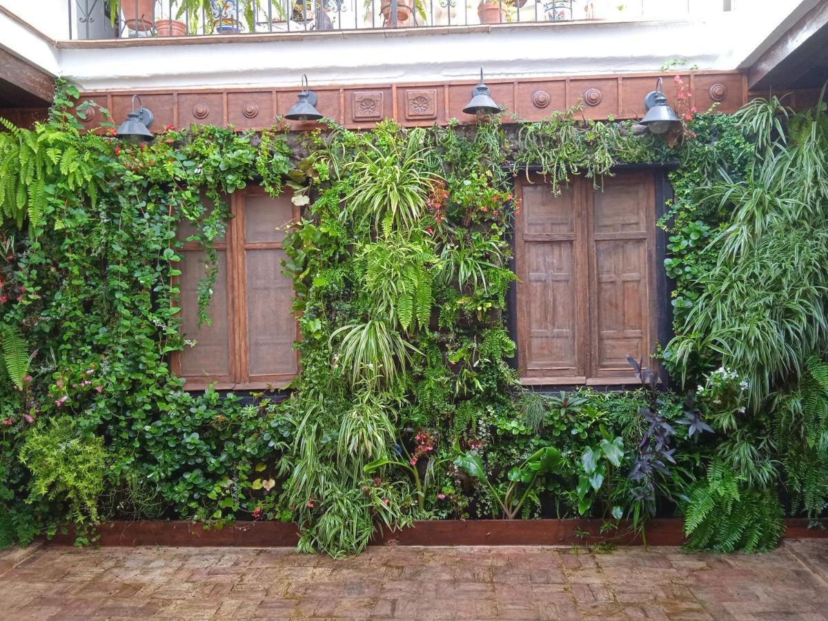 Curioso Apartamento Tipo Loft De 25 M Cuadrados Apartment Sanlucar de Barrameda Exterior photo